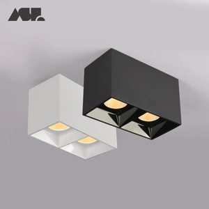 Zhongshan Aisilan kare çift kafaları aydınlatma led tavan aşağı ışıkları COB led downlight - Product Image 1