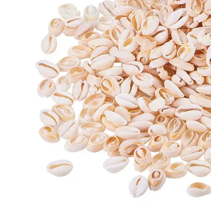 Özel yapılmış doğal cowrie kabukları çeşitli şekillerde ve boyutlarda mücevher tasarımcıları, sanat ve el sanatları için uygun - Product Image 1