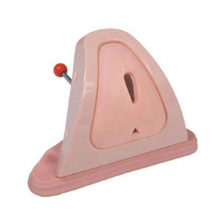 Simulador de entrenamiento realista de modelo anatómico más vendido para corte y sutura de perineo para uso escolar - Product Image 1