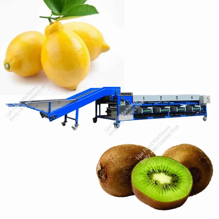 Máquina de clasificación de frutas y verduras, naranja, limón, Kiwi, melocotón