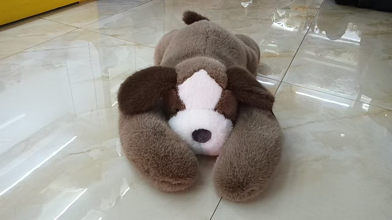 Back treasure dog