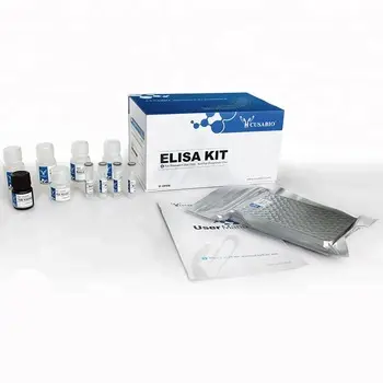 Kit ELISA CK-MB de créatine Kinase MB isoenzyme humaine