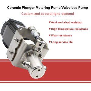 Micro Addition Quantitative Filling Valveless <strong>Plunger</strong> <strong>Pump</strong> Adjustable Dosing Ceramic Liquid <strong>Injection</strong> Metering <strong>Pump</strong>