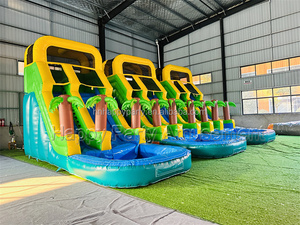 Toboganes de agua populares comerciales, tobogán de agua inflable, Parque Acuático con piscina, deslizamiento en un tobogán de agua - Product Image 5