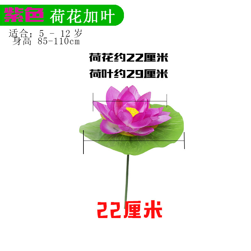 Lotus leaves and purple lotus flowers