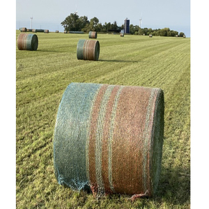 HDPE con UV bianco blu verde colore personalizzato agricoltura utilizzato rete per insilati balla erba netto pallet wrap netto netto - Product Image 5