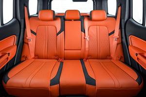 Ucuz çin SUV Gwm tankı 300 araba benzinli araçlar 2.0t Wey tankı 300 SUV kentsel çapraz için - Product Image 2