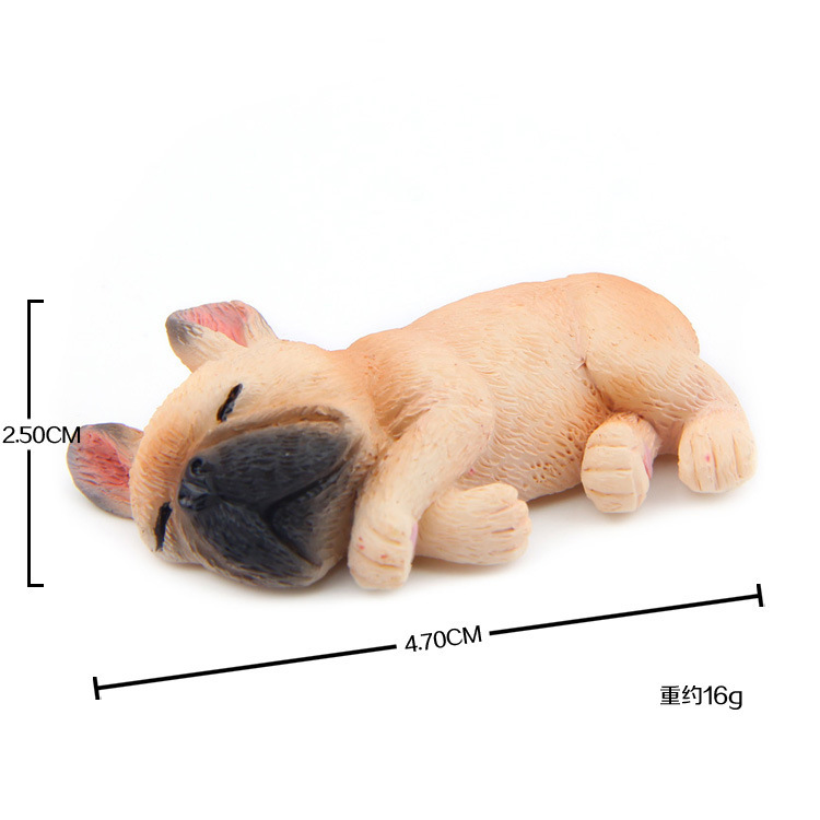 Bouledogue d'escalade côté café peu profond