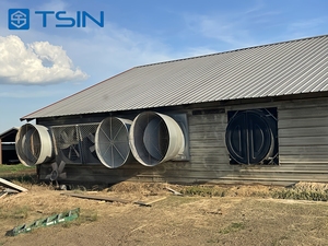 Tsin Thiết Kế Thực Tế Gió Tuyết Kháng Đẹp An Toàn Kết Cấu Thép Đơn Giản Cài Đặt Gà <span class=keywords><strong>Coop</strong></span> Công Ty Cho Trang Trại Nhà - Product Image 4