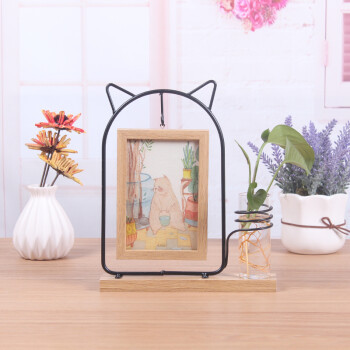 Versión hidropónica-Meow A