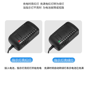 通用12v 24v 42v电池充电器DC输出插入式连接多个电压和电流选项 - Product Image 5