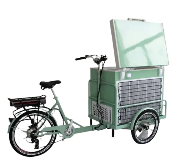 Vélo électrique Rickshaw 3 roues Pedicab avec housse de pluie