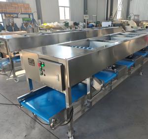בצל תפוחים תפוזים אוכמניות תפוחי אדמה אבוקדו תמרים עגבניות פירות דירוג מכונת מיון ושטיפת מכונת כביסה