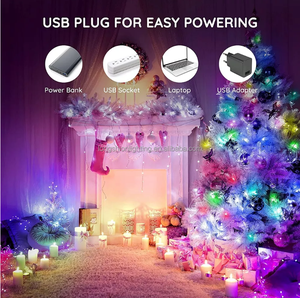 Venta caliente 5M USB Árbol de Navidad Led Cadena de luces con aplicación inteligente Control remoto Navidad Decoración para el hogar Luces de hadas - Product Image 5