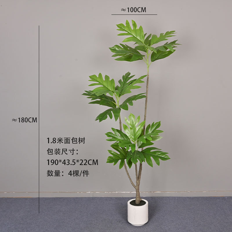 Arbre à pain de 1,8 mètre