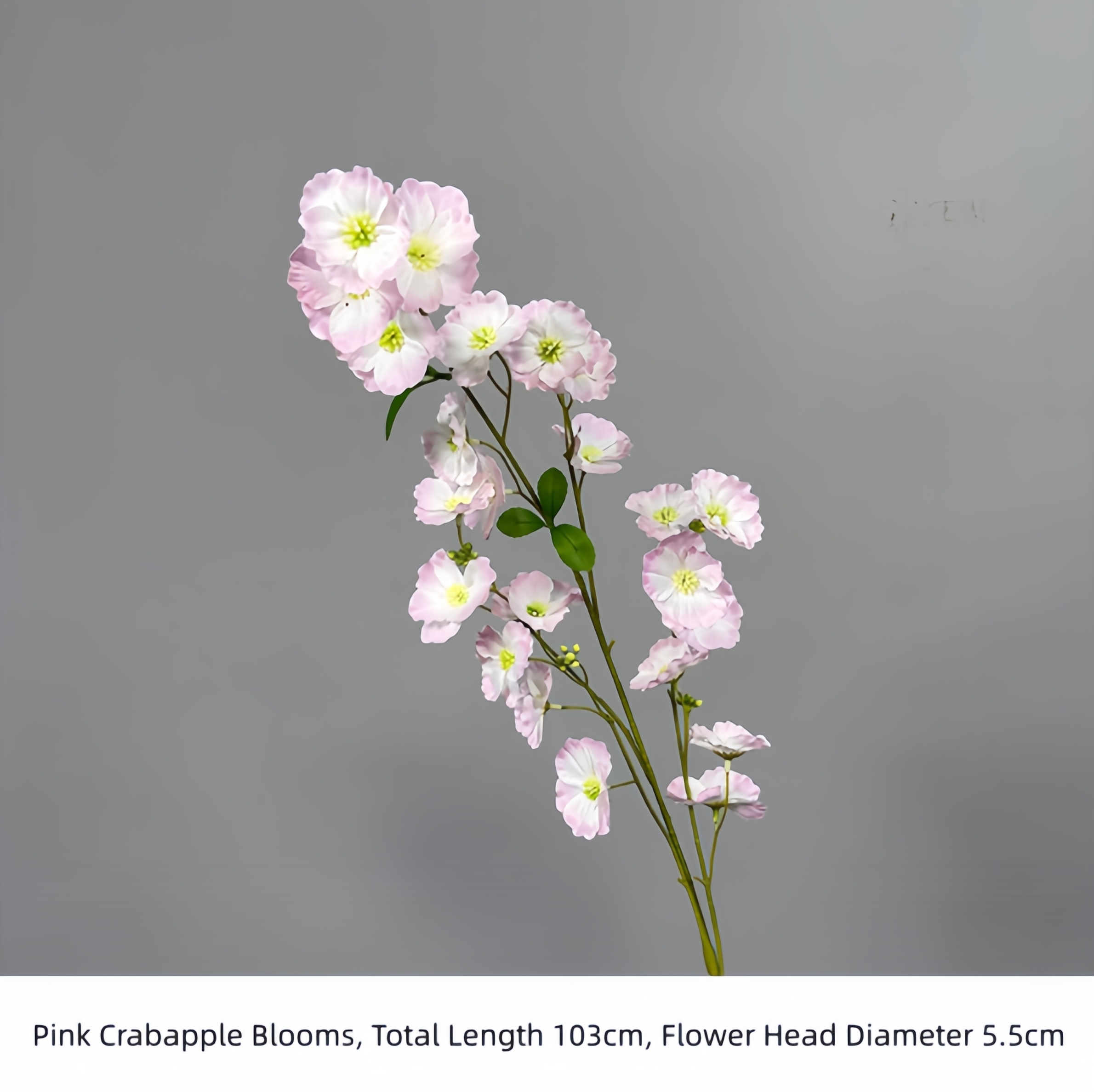 Pink Crabapple Blooms