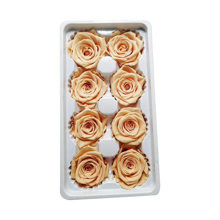 Rose pêche