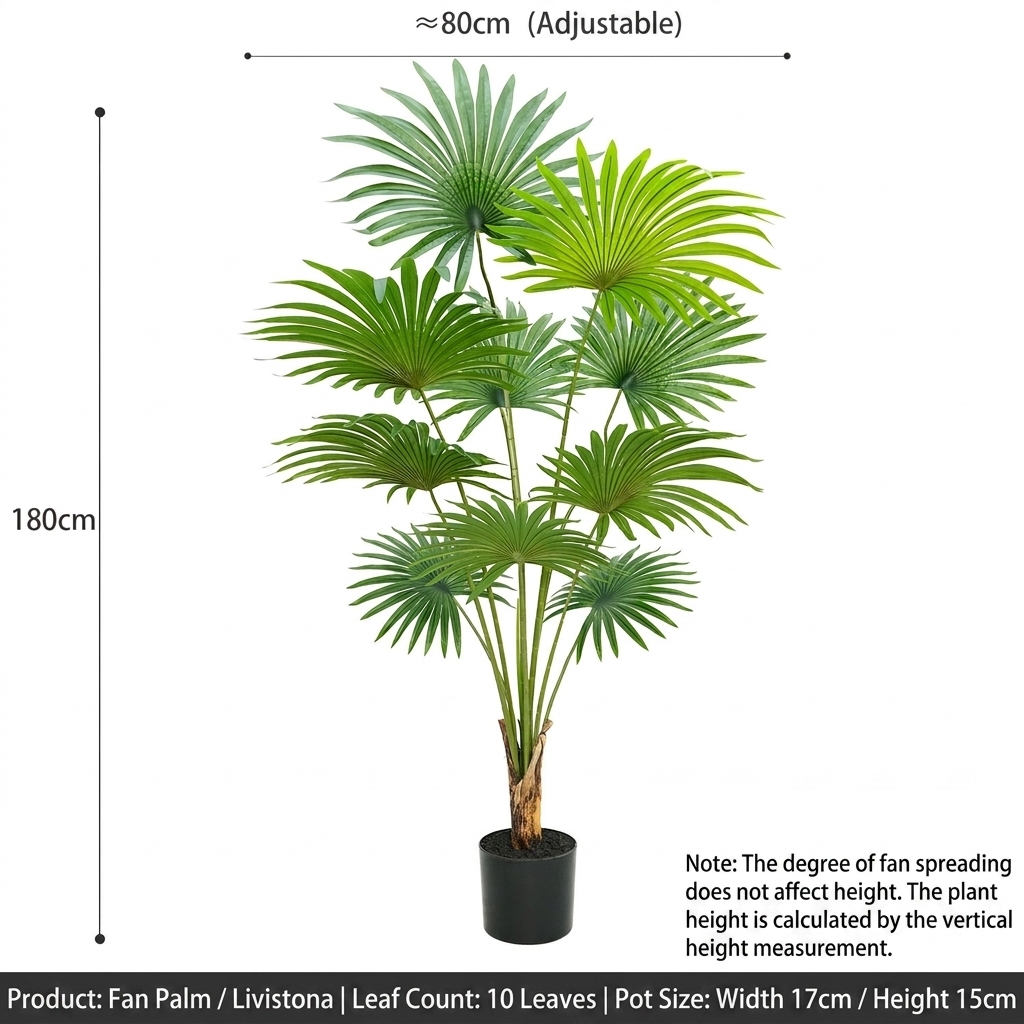 180cm fan palm