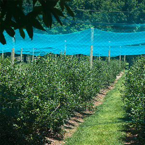 Red de Protección para Aves de Plástico PP a Precio Económico, Red Anti-Aves para Protección de Árboles Frutales - Product Image 6
