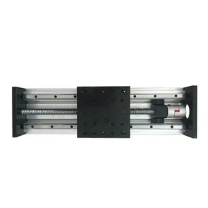 Sistema de Robot de pórtico XYZ motorizado CNC de alta resistencia, guía, mesa deslizante, actuador de escenario, riel de guía de movimiento lineal