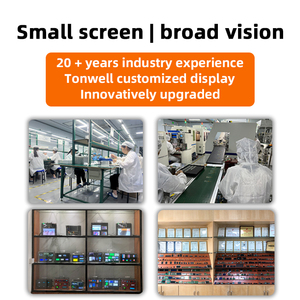 Özel Segment kodu Lcd ekran 7 Segment Lcd ekran s yüksek kontrast küçük boyutlu segment kod modülü