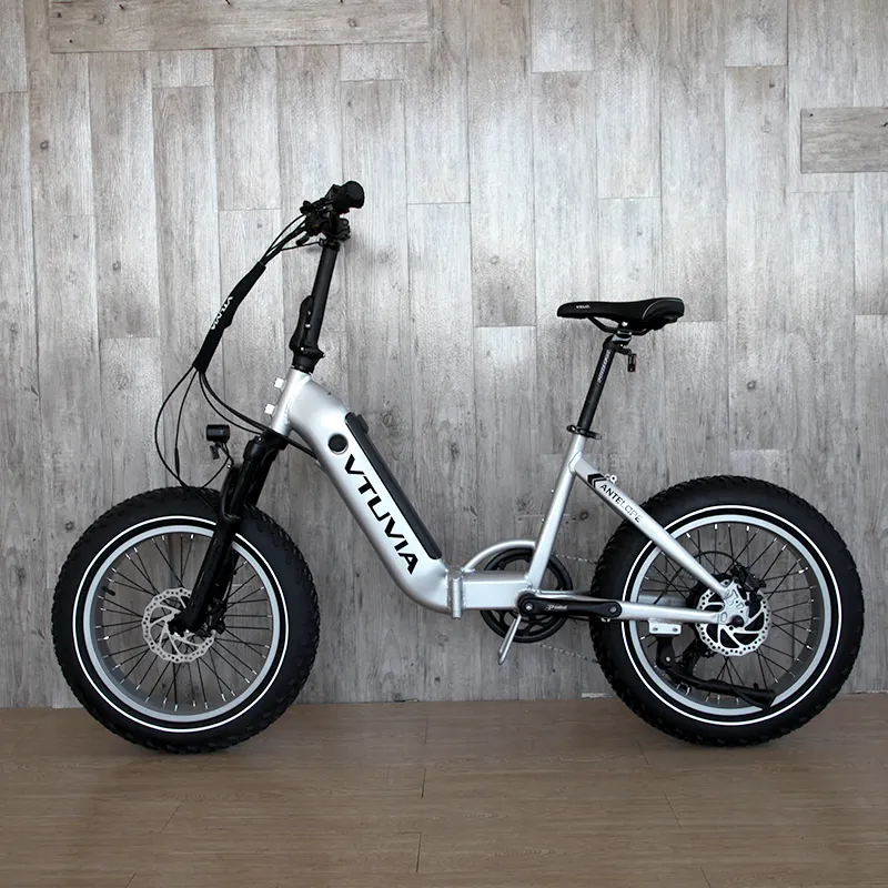 دراجة كهربائية للمدينة 36 فولت 48 فولت من نوع W W W Ebike دراجة كهربائية هجينة بإطار عريض قابلة للطي دراجات كهربائية مع بطارية ليثيوم للبالغين