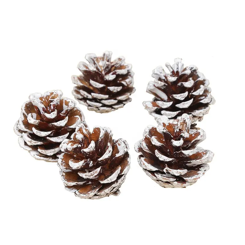 Cedar Nut Snowflake Pine Tower Christmas Props Dried Flower Ornaments Dyed White Pine Cone