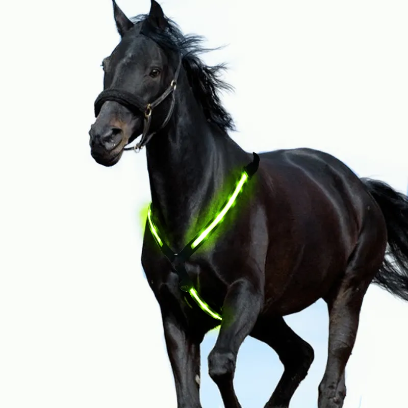 Placa de pecho de caballo USB led, accesorios de nuevo diseño