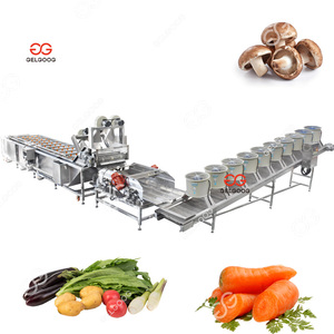 自动输送机送料连续刷气泡清洗分选果蔬清洗干燥机 - Product Image 1