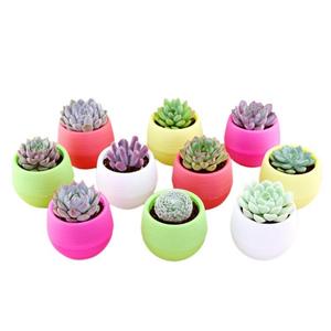 Mini Flower <strong>Pot</strong> &amp; Planters <strong>Colourful</strong> Round Plastic Minimalist Resin Plastic <strong>Pots</strong> for Plants Macetas Plasticas 6 Colors 100pcs - Product Image 1