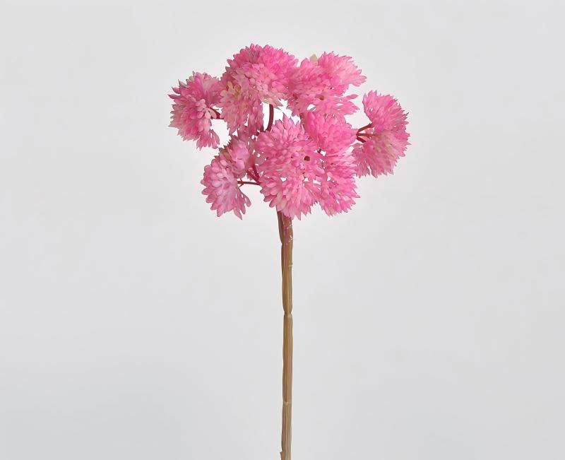 Rosa scuro