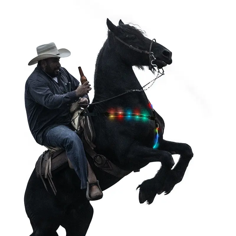 Kingtale Pet fornitore equitazione ad alta visibilità Tack USB ricaricabile LED pettorale per cavallo imbracatura durevole fibbia in ottone