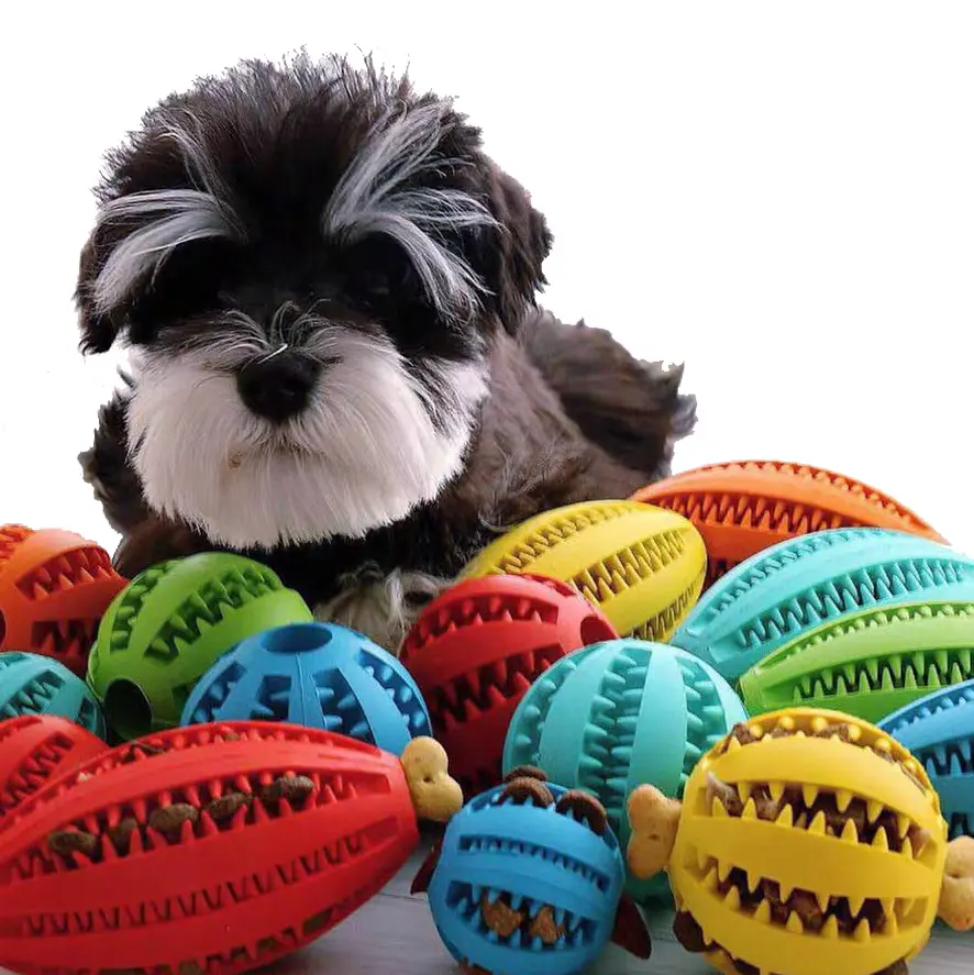 カスタムロゴ犬猫おもちゃ犬おもちゃボールペット噛む天然ゴムおもちゃボールペット用