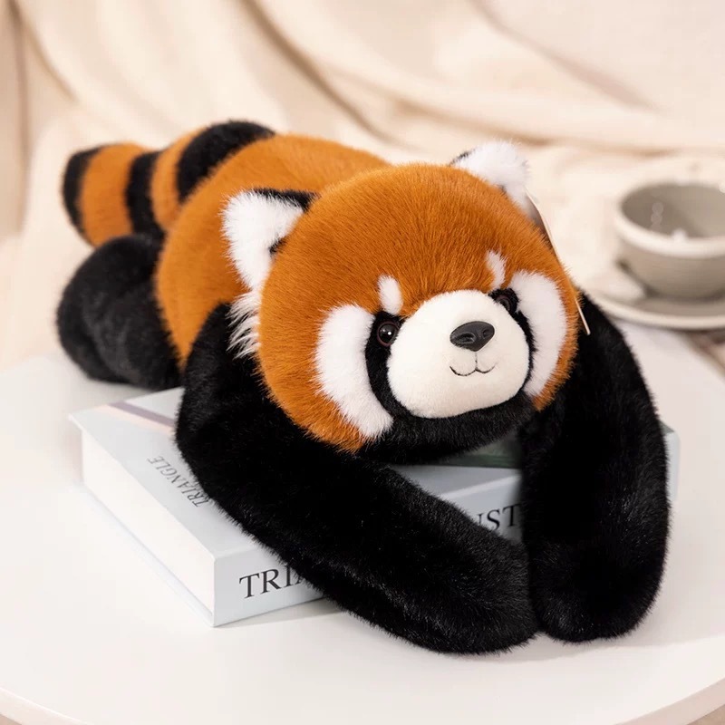 Raccoon