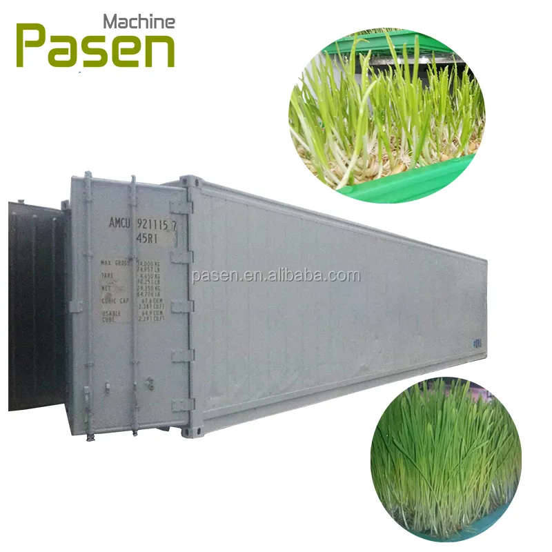 1000kg/day 40 RT Container Green Fodder Growing Machine Barley Grass Hydroponic Sprouting Machine for sale