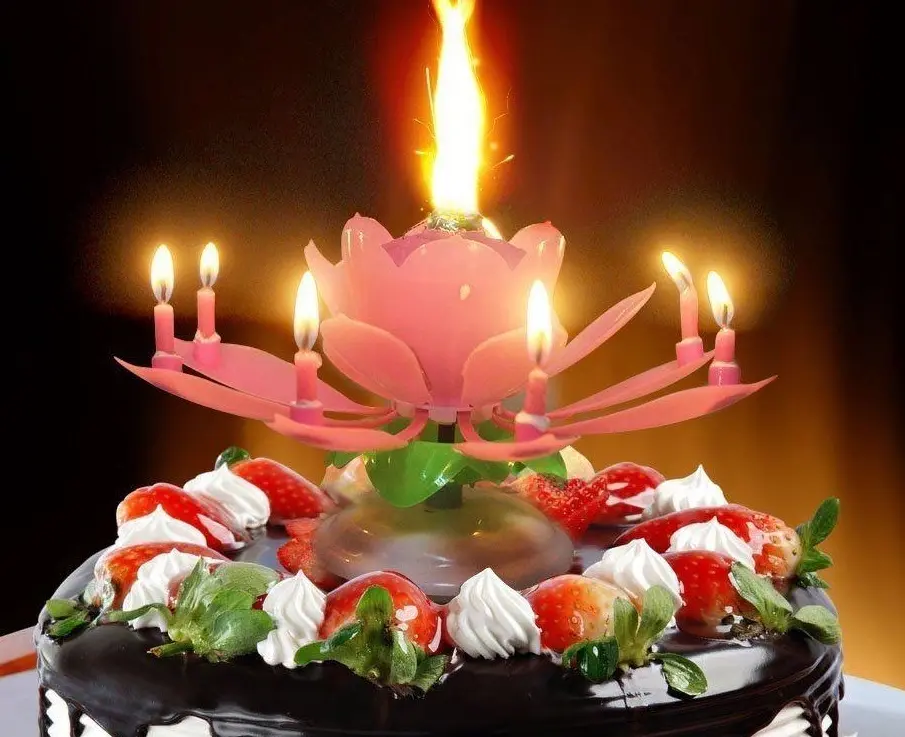 Velas de bolo de aniversário digital felizes cantando música romântica flor de lótus em forma de pétala para festa de aniversário