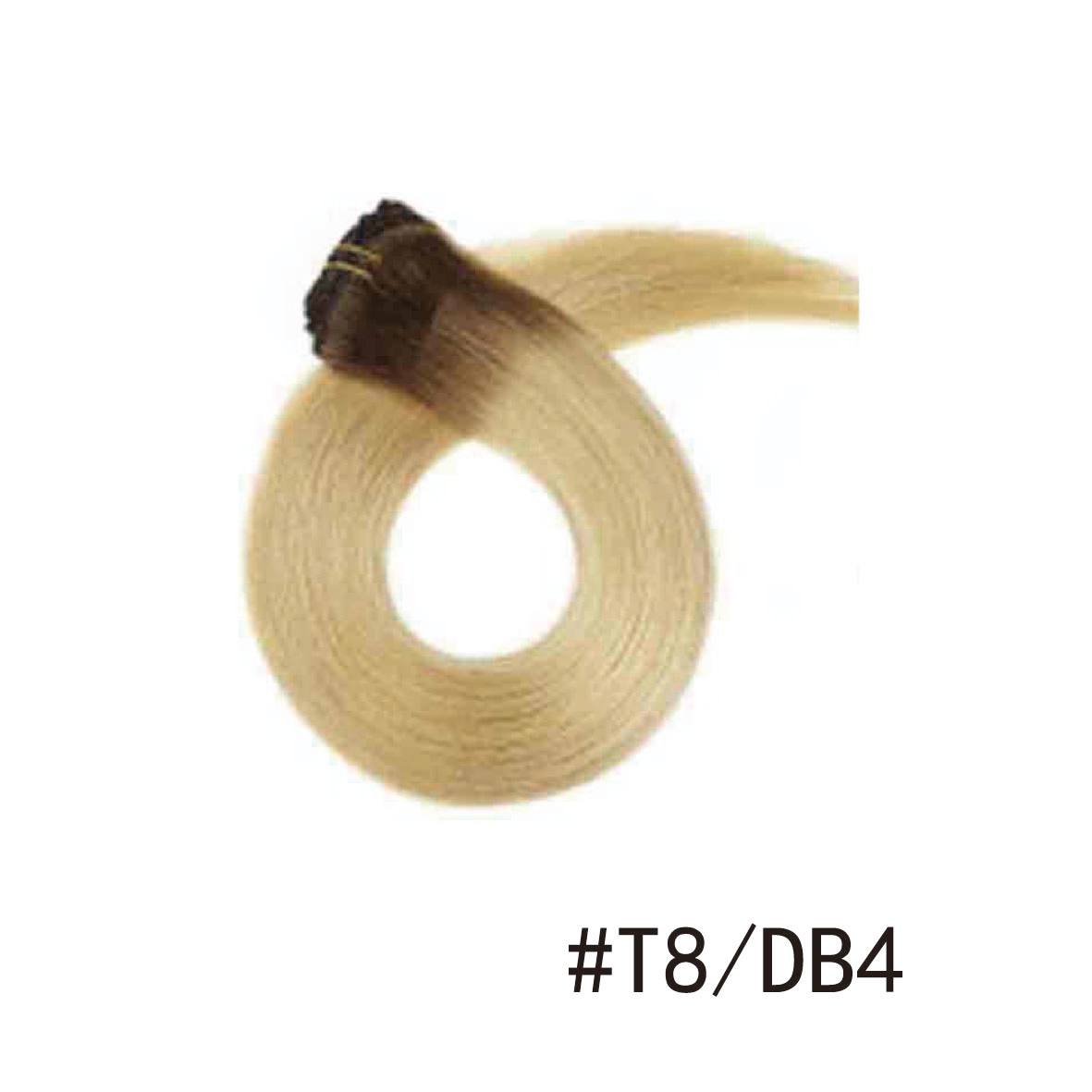 T8/DB4P8