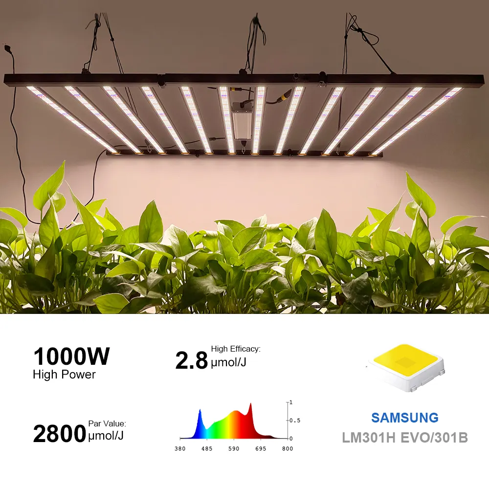 Foldable 650w 800w हाइड्रोपोनिक खड़ी खेती उपकरण इनडोर पौधों के लिए प्रकाश किट बढ़ने का नेतृत्व किया