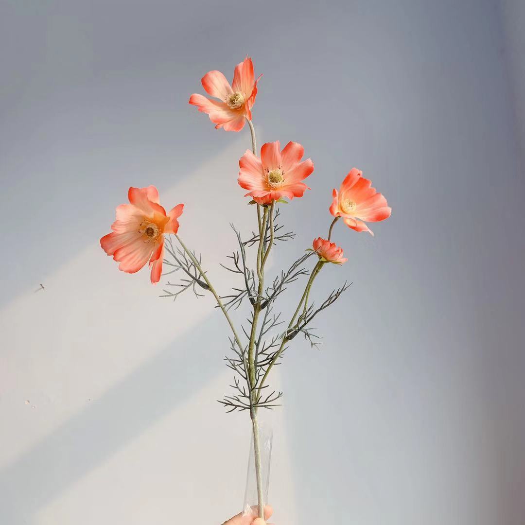 Coral Pink