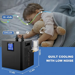 Venda quente 1/3Hp Portátil Mini Água & Banho De Gelo Chiller Banheira De Mergulho Frio com Filtro Premium Chilling Equipment - Product Image 3