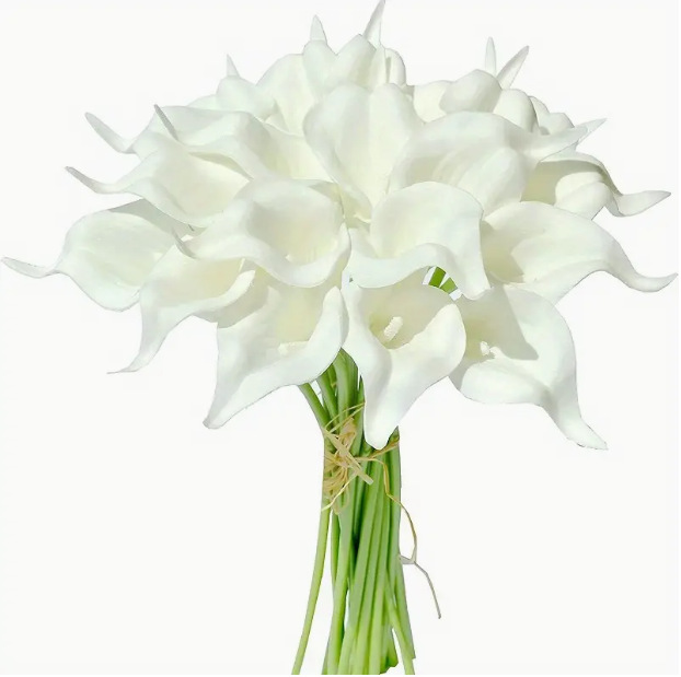 Noyau blanc