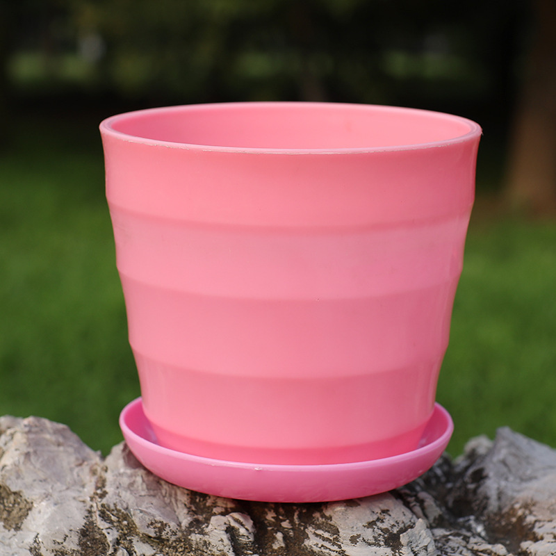 Thickened pink tray