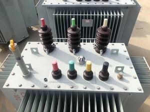 Di alta qualità 50-60Hz elettrico rinoceronte trifase olio immerso toroidale all'aperto trasformatore multiplo di uscita 400v MV & HV trasformatori - Product Image 5