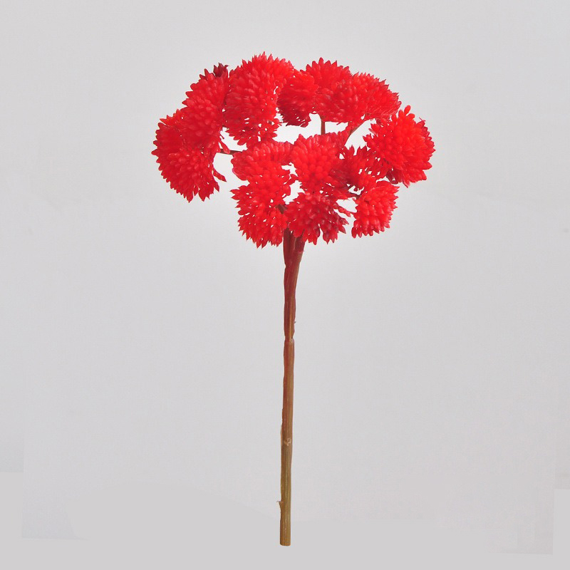 Rojo