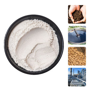 Catalyst高Sio2含有量ホワイト/グリーンカラーゼオライト粉末Clinoptilolite自然卸売ゼオライト粉末 - Product Image 6