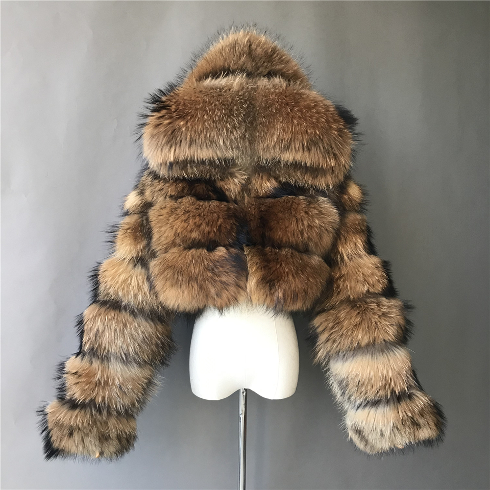 mapache