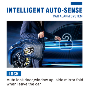 DLS-sistema de alarma para coche con pantalla LCD, mando a distancia con pantalla - Product Image 6