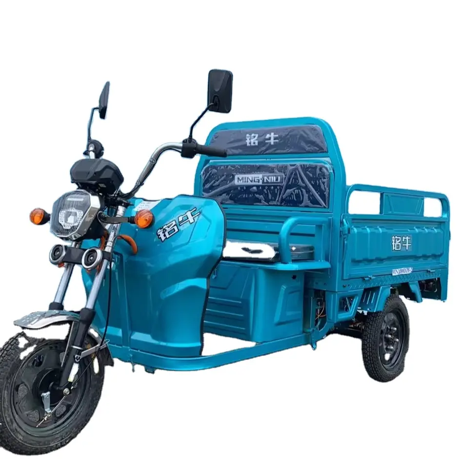 전원 모터 농장 사용 1000 와트 배터리 전기 성인 화물 세발 자전거