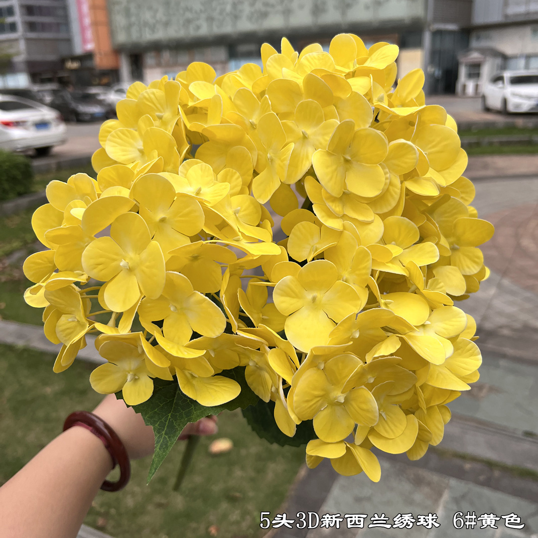 5 têtes d'hortensia jaune 3D Nouvelle-Zélande