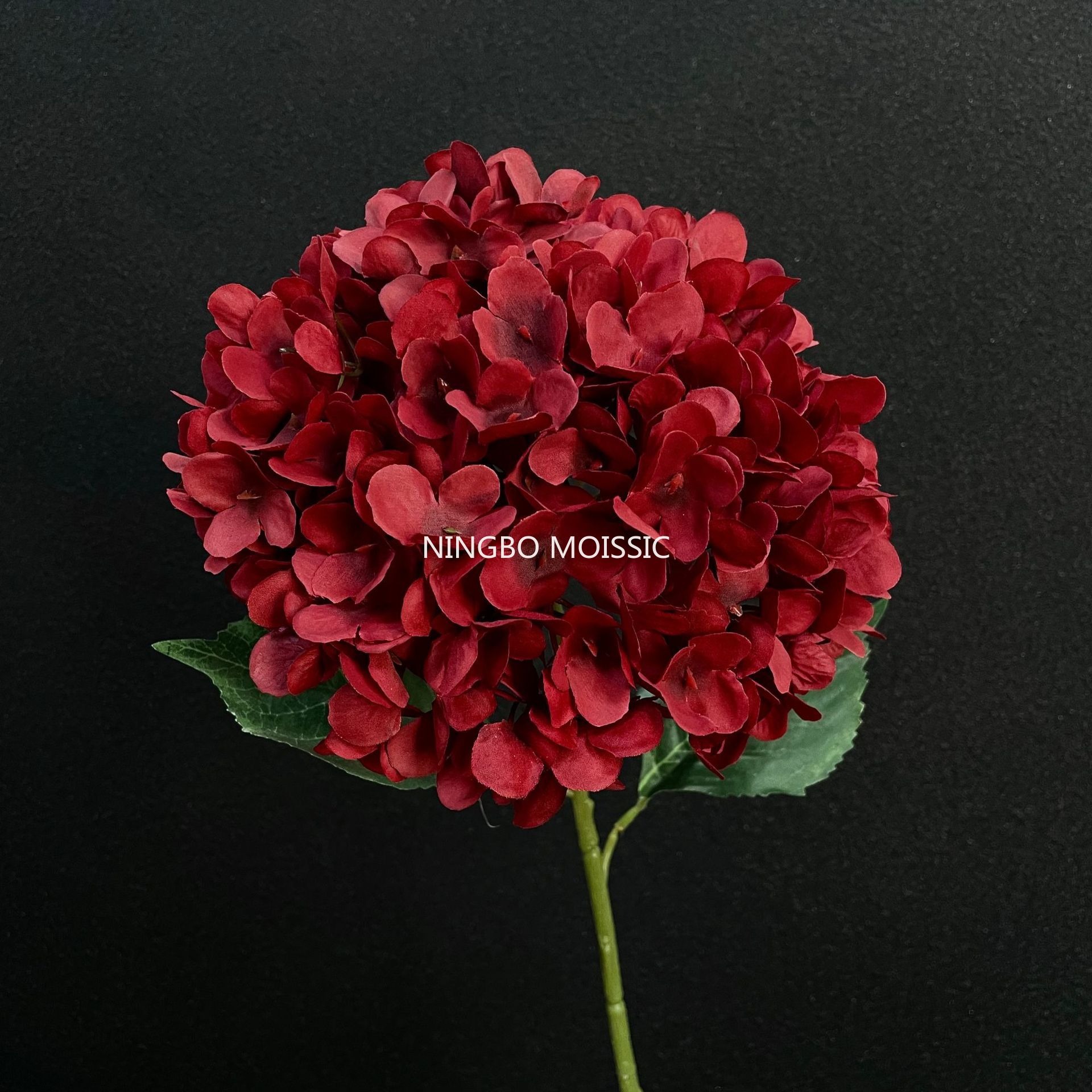 สีแดง